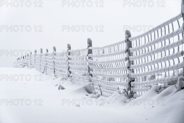 Snow-covered and icy fence, winter in Sauerland, Hochsauerlandkreis, at Kahler Asten, near