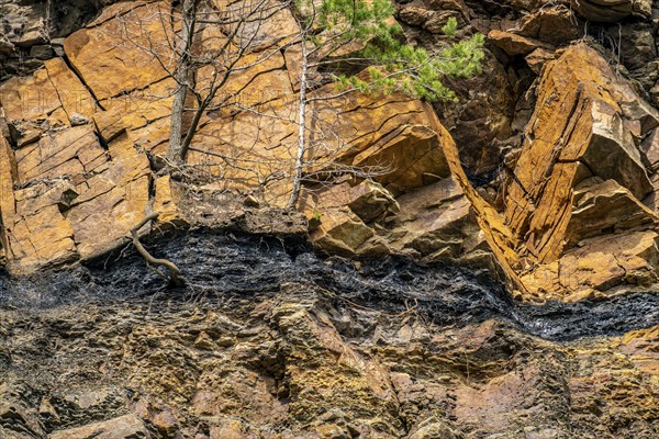 GeoRoute Ruhr, Dünkelberg quarry, in the Muttental valley, here you can see the geology of the