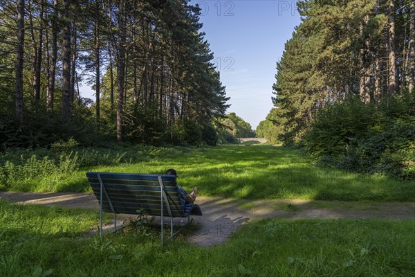 The main cemetery in Dortumund-Brackel, the largest green space in the city and one of the largest