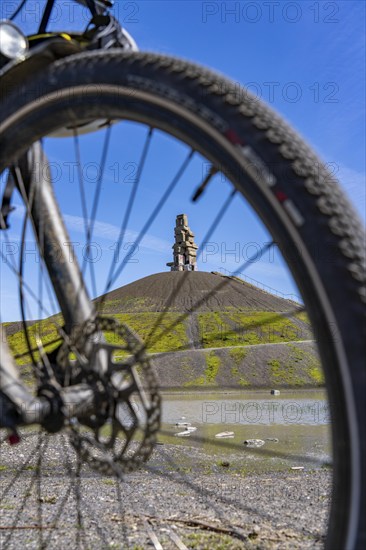 Cyclist on the Rheinelbe spoil tip in Gelsenkirchen, 100 metre high spoil tip, landscape park, with
