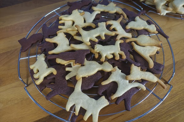 Swabian cuisine, Swabian Christmas biscuits, cookie cutters, shortbread biscuits, cat figures,