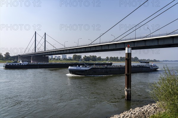 The Theodor-Heuss-Bridge, Rhine crossing, cable-stayed bridge, first road bridge of the so-called