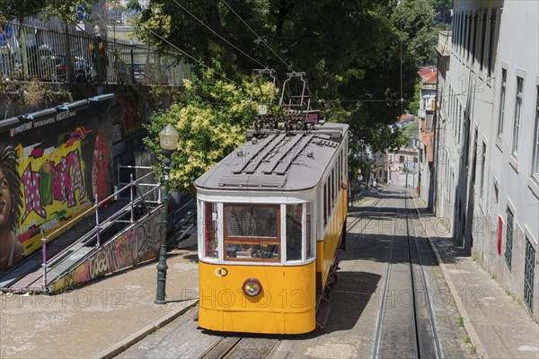 Yellow tram descends past wall art and green trees, funicular railway, Ascensor da Glória, Old
