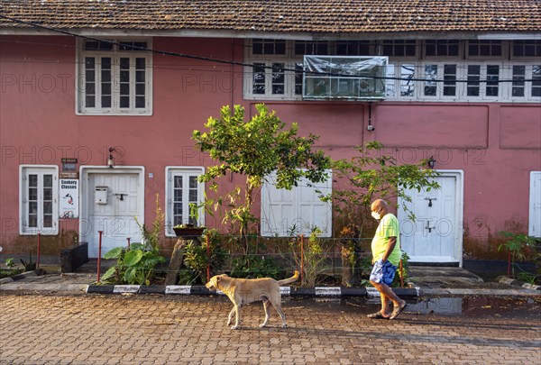 Man walks a dog in front of colourful house, Fort Kochi, Cochin, Kerala, India, Asia