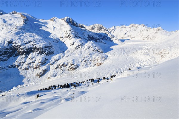 Wannenhörner and Aletsch Glacier in winter, Valais, Switzerland, Europe