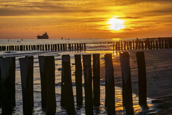 Sunset on the beach of Zoutelande, beach with wooden pile breakwaters, cargo ship sailing towards