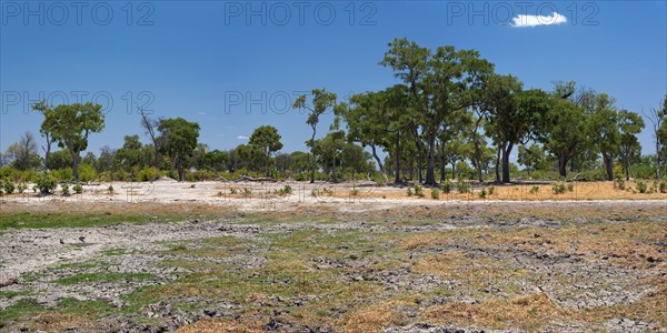Dried out riverbed and landscape, drought, heat, dryness, climate change, global warming, panorama,