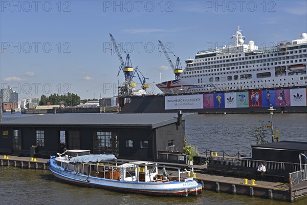 Europe, Germany, Hanseatic City of Hamburg, harbour, Elbe, view to floating dock 11, passenger ship