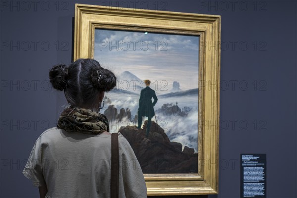 Anniversary exhibition on Caspar David Friedrich at the Albertinum. The painting The hiker above