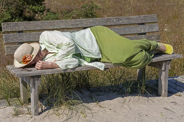 Elderly woman sleeping on a bench, nap, circular hiking trail, nature reserve, Darßer Ort, Born a.