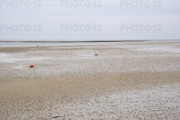Wadden Sea at low tide with numerous piles of lugworms, two buoys, Utersum, Föhr, North Sea island,
