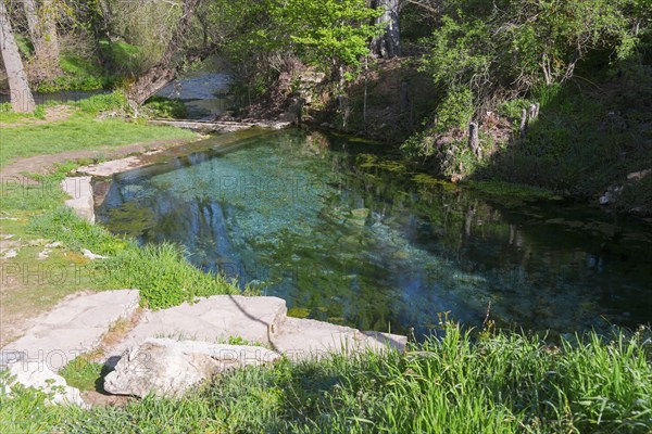 Idyllische Frühlingslandschaft mit einer klaren Quelle, grüner Vegetation und sonnendurchfluteten