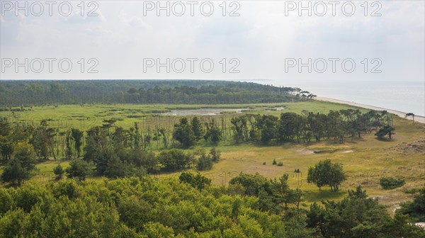 Coastal landscape at the western beach, sandy beach, reed and moor areas, pond, Darß forest, pine