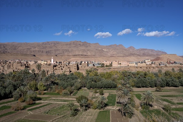 Oasis with traditional mud houses and date palms, on the edge of the Todra Gorge or Gorges du
