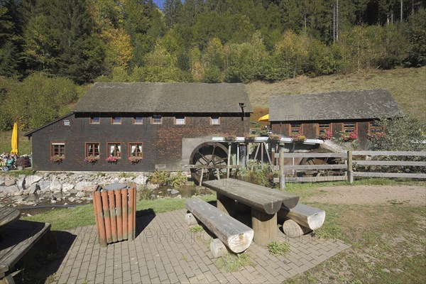 Hexenlochmühle with wooden bench, bench, rest area, Dreistegen, Furtwangen, Southern Black Forest,