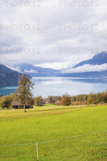 Green shore meadows lead to a quiet mountain lake under a dramatic sky, Lake Brienz, Switzerland,