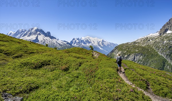 Mountaineer on hiking trail, mountain panorama with glaciated mountain peaks, Aiguille Verte with