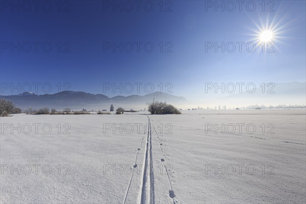 Cross-country skiing, ski track, snow, sunbeams, sunny, cold, Loisach-Lake Kochel-Moor, Alpine