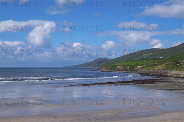 Inch Strand, Dingle Bay, Dingle Peninsula, County Kerry, Ireland, Europe