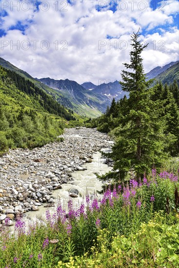 The Pitzbach in the Pitztal, in the background (from left to right) Innere Schwarze Schneid (3365