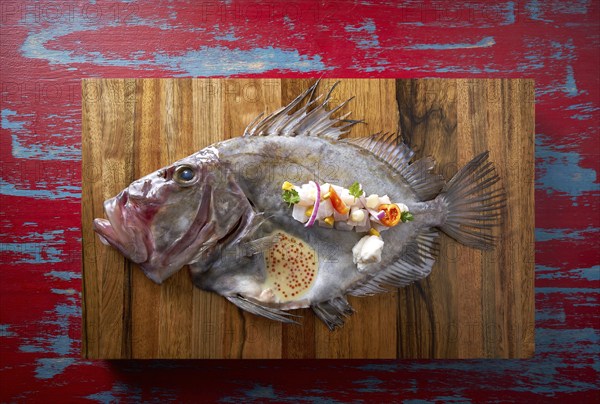 Ceviche modern cuisine of San Pedro fish Zeus faber