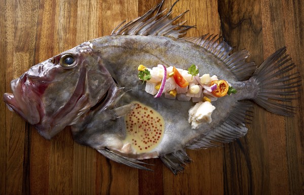 Ceviche modern cuisine of San Pedro fish Zeus faber