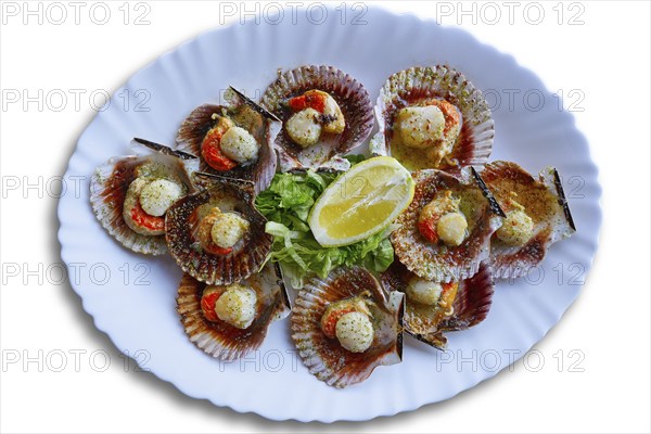Zamburinas scallops recipe typical from Galicia Spain