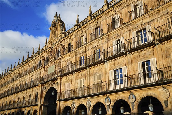 Salamanca Plaza Mayor in Spain along via de la Plata way to Santiago