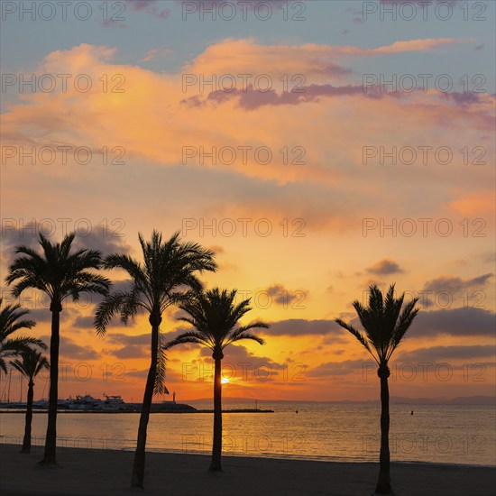 Majorca El Arenal sArenal beach sunset near Palma de Mallorca in Balearic Islands spain