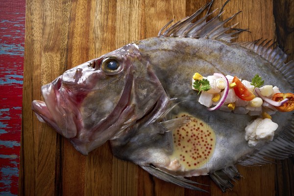 Ceviche modern cuisine of San Pedro fish Zeus faber