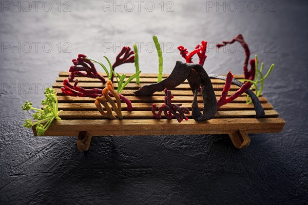 Codium seaweed salad modern cuisine with marine fennel and colorful algae