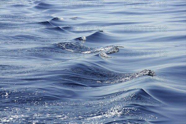 Blue water textures, waves foam, action, mediterranean sea