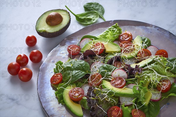 Avocado salad with sprouts tomatoes spinach and radish healthy food