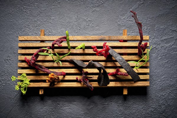 Codium seaweed salad modern cuisine with marine fennel and colorful algae