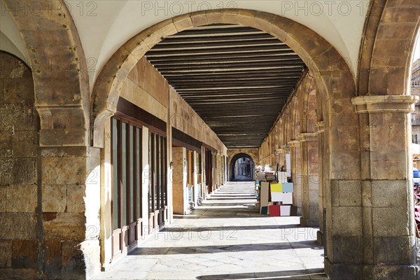 Salamanca Plaza Mayor in Spain along via de la Plata way to Santiago