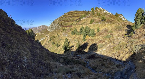 Ascent to Col des Mines, hiking trail with avalanche protection, behind Croix de Coeur, La Tzoumaz,
