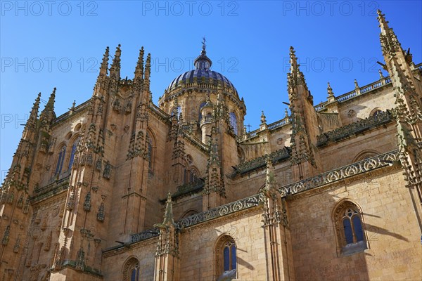 Salamanca Cathedral facade in Spain by the Via de la Plata way to Santiago