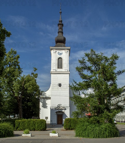The Calvinist Church in Levice town in the summer. Slovakia