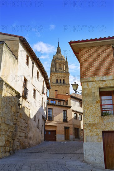 Salamanca Cathedral in Spain by the Via de la Plata way to Santiago