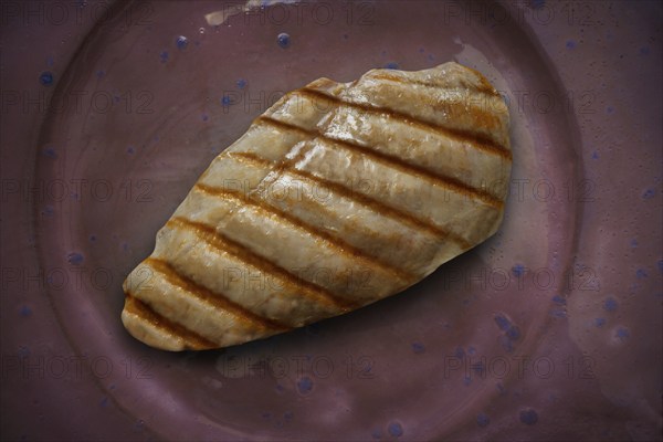 Grilled chicken breast on ceramic plate background