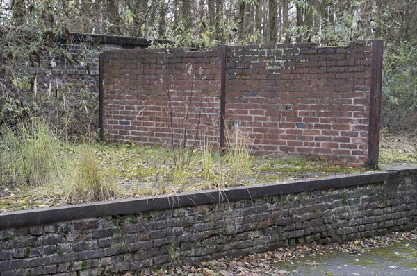Two old damaged brick walls with moss and dry grass growing in loading dock area during autumn