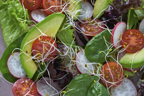 Avocado salad with sprouts tomatoes spinach and radish healthy food