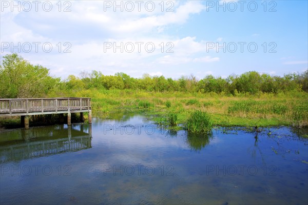 White Lake at Cullinan Park in sugarland near Houston Texas