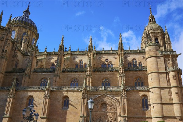 Salamanca Cathedral facade in Spain by the Via de la Plata way to Santiago