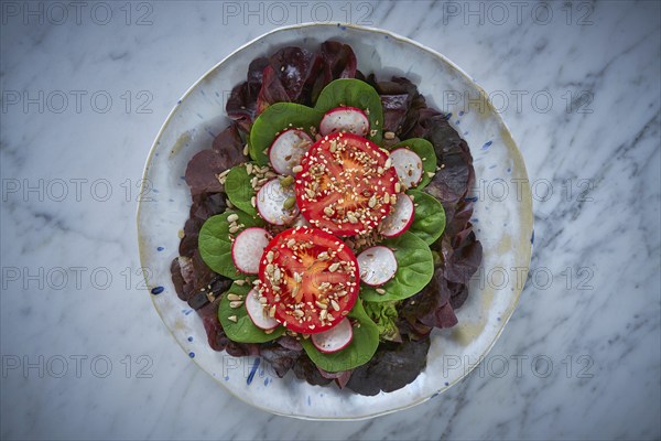 Tomato salad with seeds radish spinach and lettuces healthy food