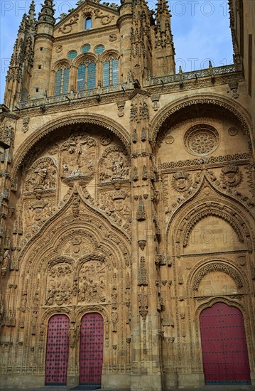 Cathedral Basilica in Salamanca of Spain by the via de la Plata way