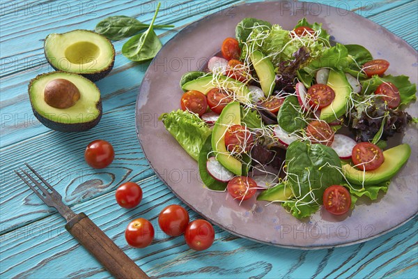 Avocado salad with sprouts tomatoes spinach and radish healthy food