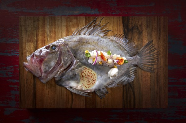 Ceviche modern cuisine of San Pedro fish Zeus faber