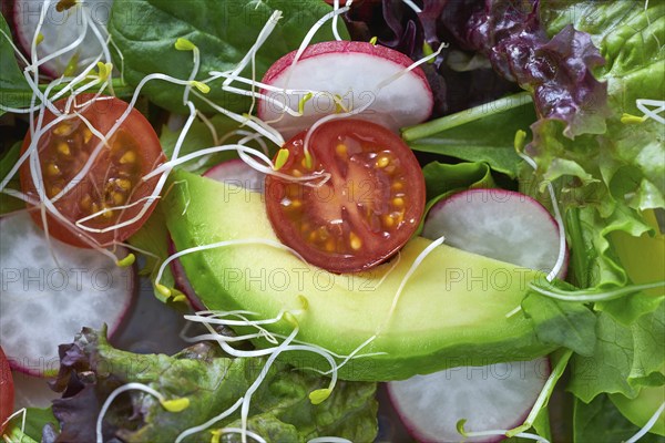 Avocado salad with sprouts tomatoes spinach and radish healthy food