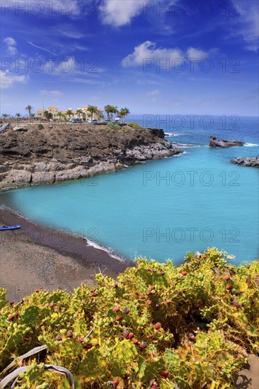 Beach Playa Paraiso costa Adeje in Tenerife at Canary Islands